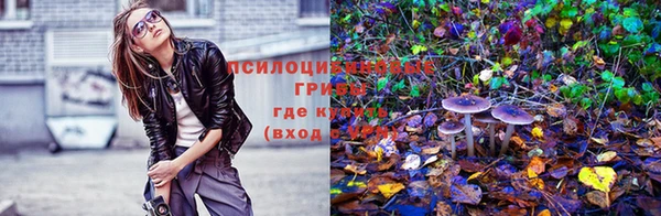 spice Алзамай