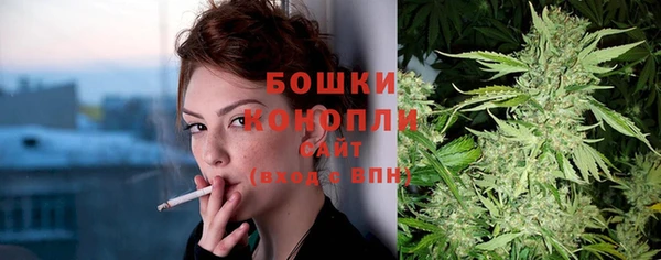 spice Алзамай