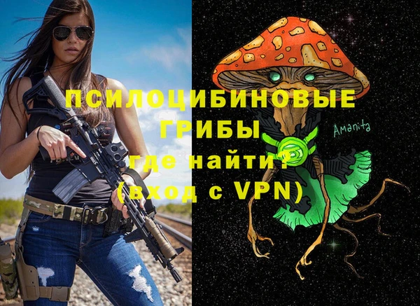 спайс Алексин