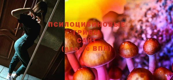 spice Алзамай