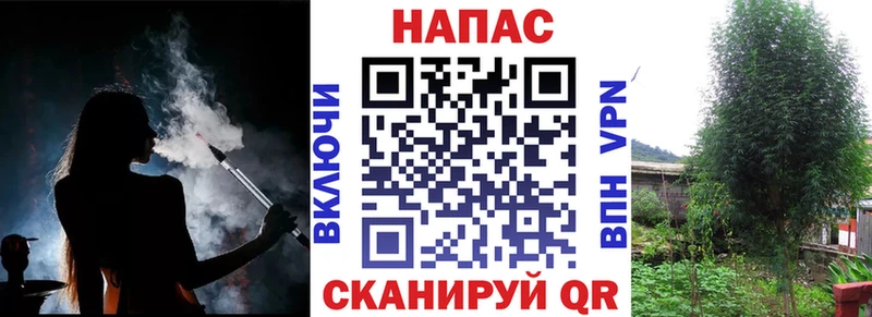 продажа наркотиков  Похвистнево  Каннабис ГИДРОПОН 